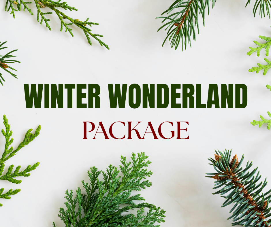 Winter Wonderland - chic, elevated, and abundant