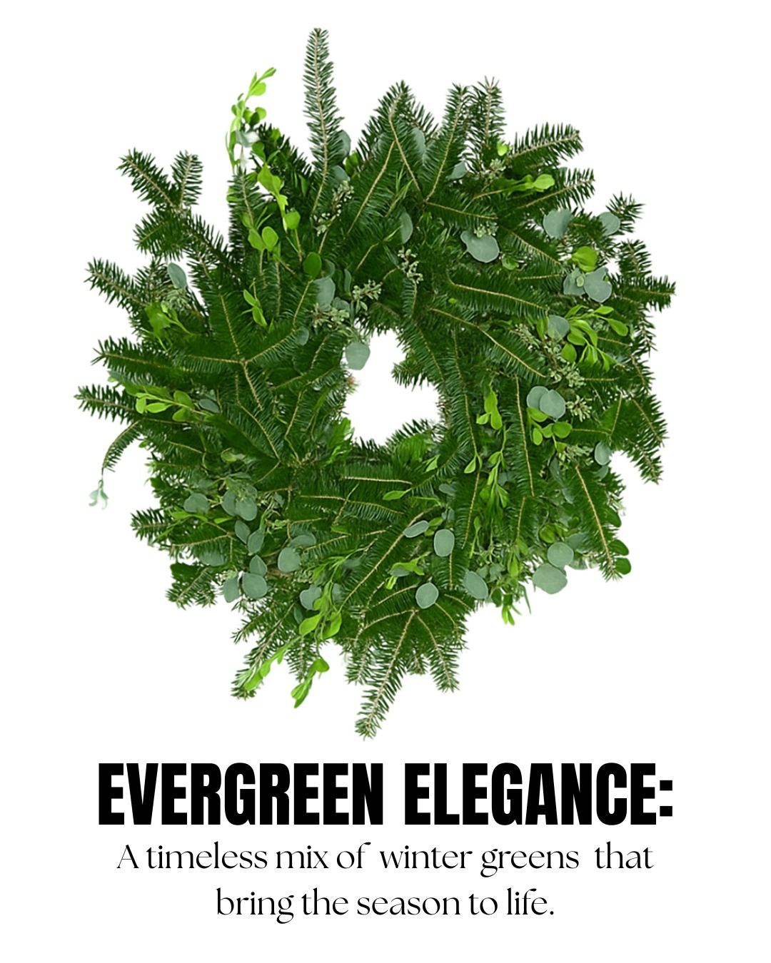 DROP-OFF Package - Large