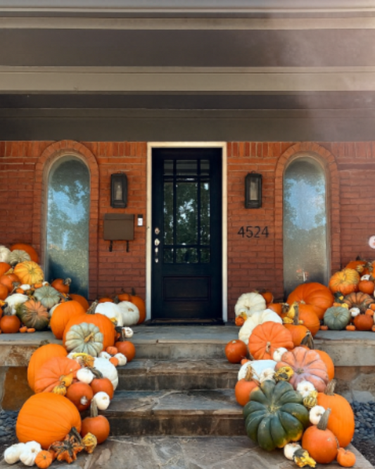 The Showstopper Porch – chic, elevated, and abundant